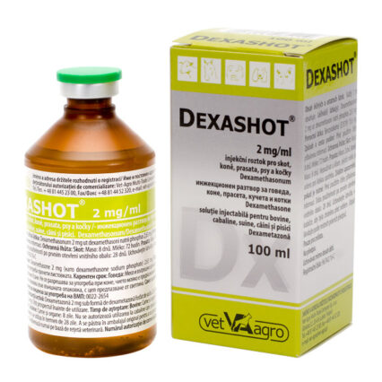 Dexashot 2 mg/ml 100 ml