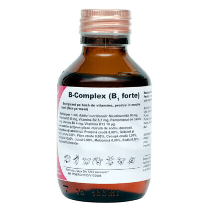 Veyfo Vit B-Complex (B1 Forte) 100 ml