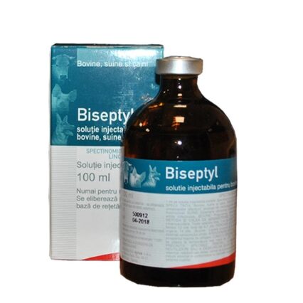 BISEPTYL 100 ML