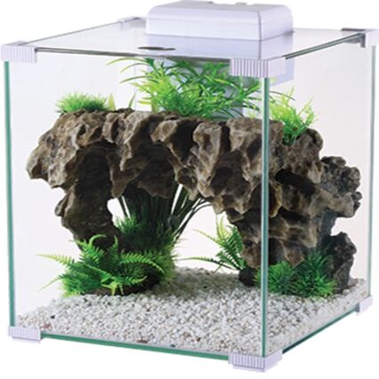 ACVARIU MINI CAPAC FILTRU  LED 9.5L