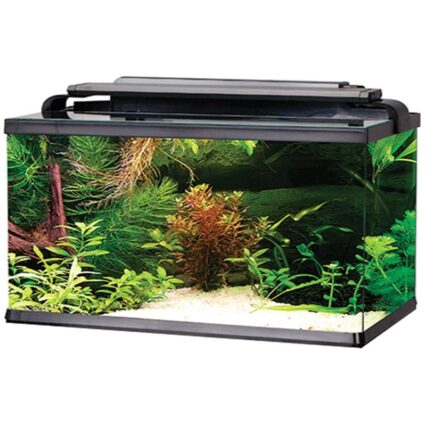 ACVARIU RECTANGULAR LED 30L