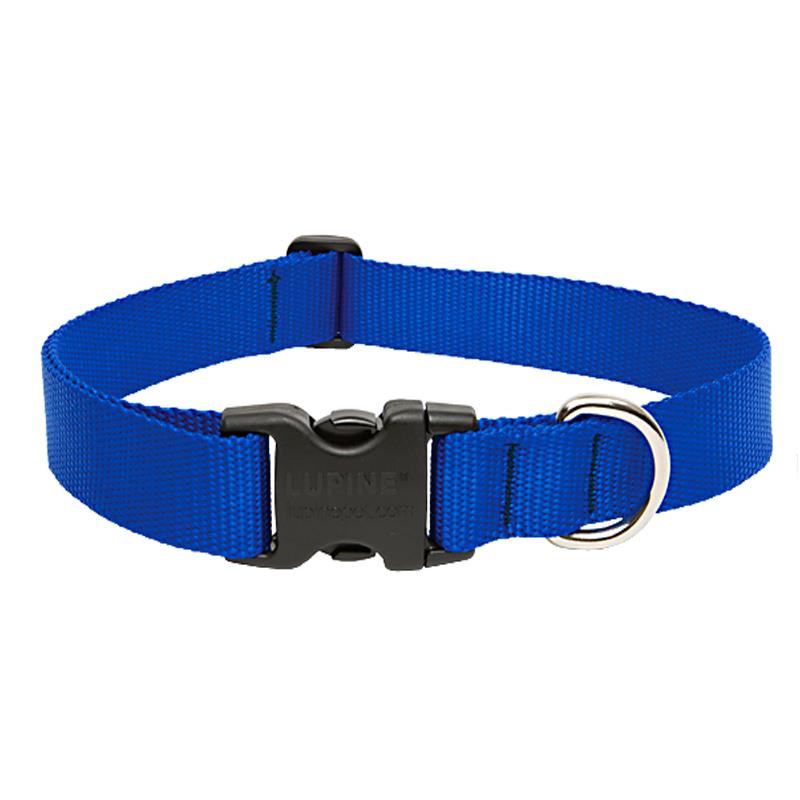 ZGARDA NYLON PENTRU CAINI BLUE CLICK 10MM*20-35CM