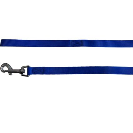 LESA PENTRU CAINI NYLON BLUE 25MM*130CM
