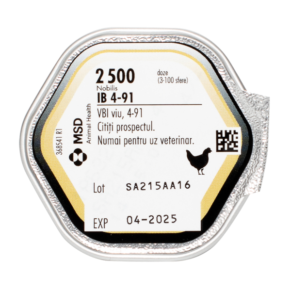 Nobilis IB4-91 2500 dz