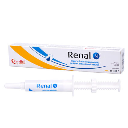Renal N Pasta 15ml