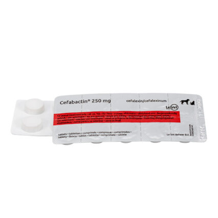 Cefabactin 250 mg  2x10 tab