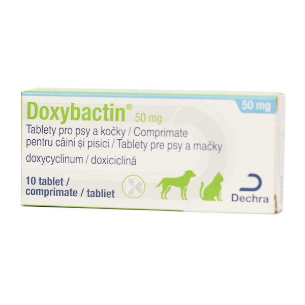 Doxybactin 50 mg x 10 tab caine/pisica