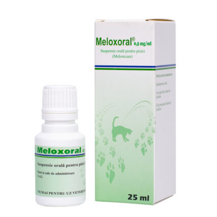 Meloxoral 25 ml 0.5 mg/ml