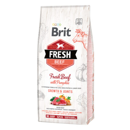 Brit Fresh Beef and Pumpkin Puppy Large 12 kg