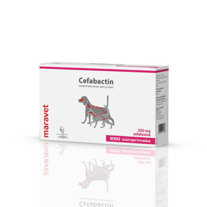 Cefabactin 250 mg  25x10 tab