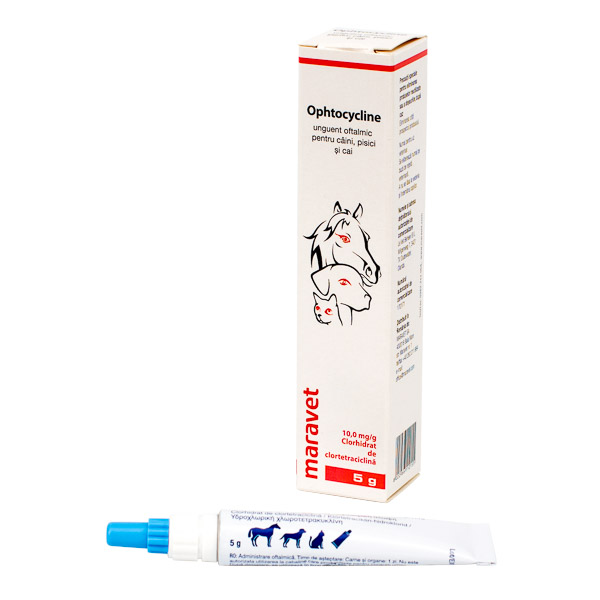 Ophtocycline 10 mg/g x 5 g