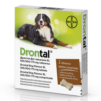 Drontal Dog Flavour XL 525/504/175 mg x 2 tab.