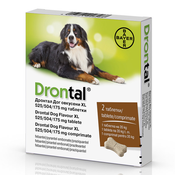 Drontal Dog Flavour XL 525/504/175 mg x 2 tab.