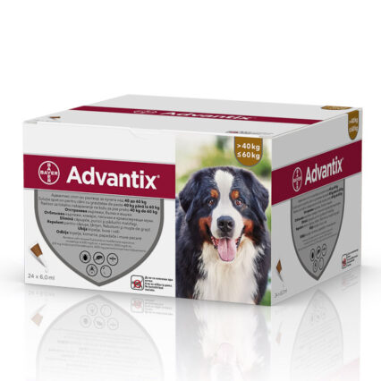 Advantix 600 (40-60 kg) x 24 pipete