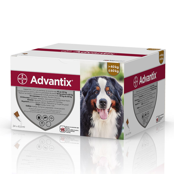Advantix 600 (40-60 kg) x 24 pipete