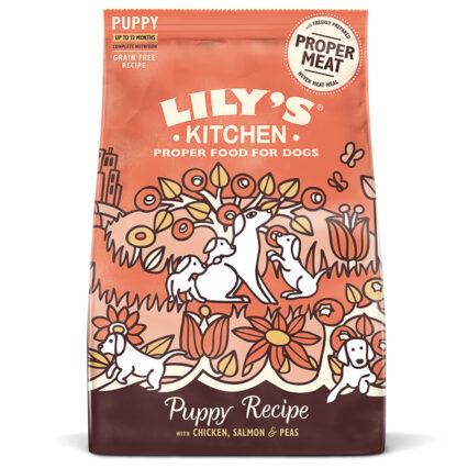 Lily's Kitchen For Dogs Chicken and Salmon Puppy Recipe Dry Food 2.5 kg
