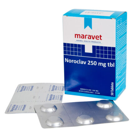 Noroclav 250 mg x 5 tablete
