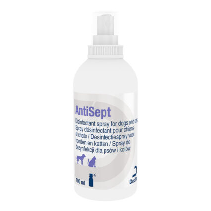 Antisept 100 ml