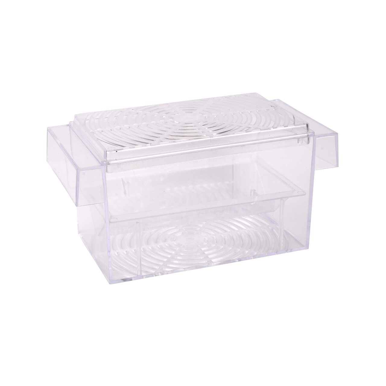 MATERNITATE PENTRU PESTI FLAMINGO GUPPY