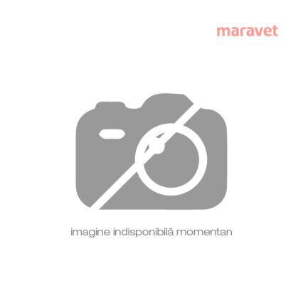 Cornet pentru Pranz 20 g