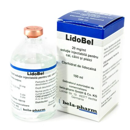 LIDO BEL 100ML