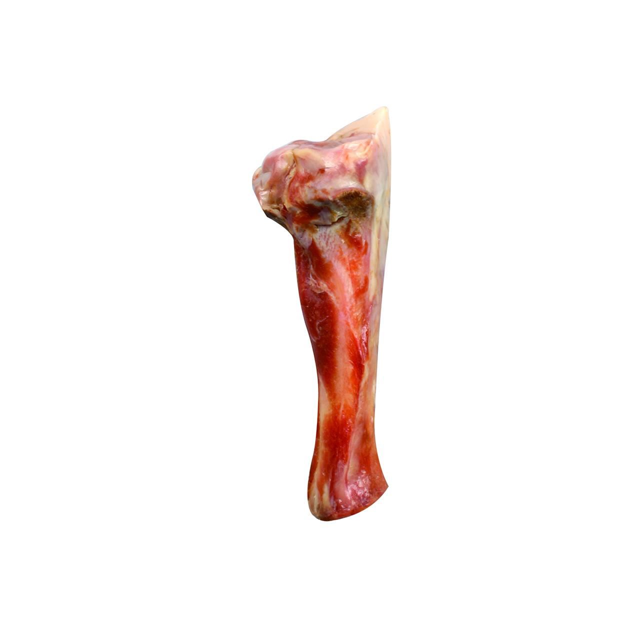 RECOMPENSE PENTRU CAINI FLAMINGO OS FEMUR NATURAL CU CARNE 190-300GR