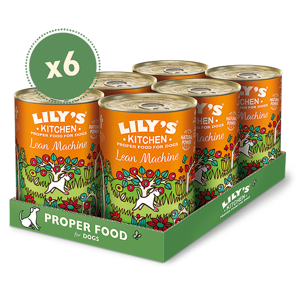Lily's Kitchen Dog Lean Machine Tin 6 x 400 g