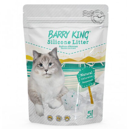 Nisip Silicat B King 5 l