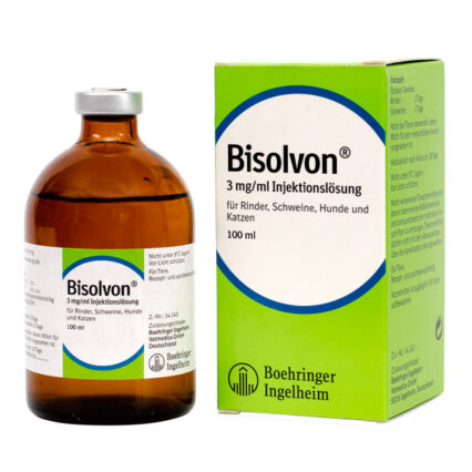 Bisolvon 100 ml