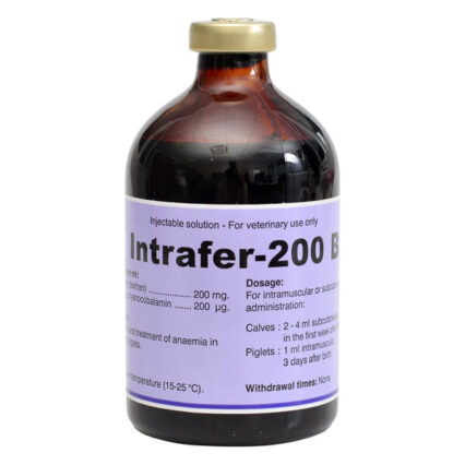 Intrafer 200 plus B12 x 100 ml