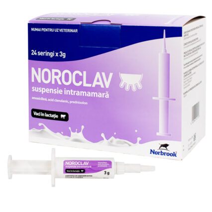 Noroclav LC seringa 3 g