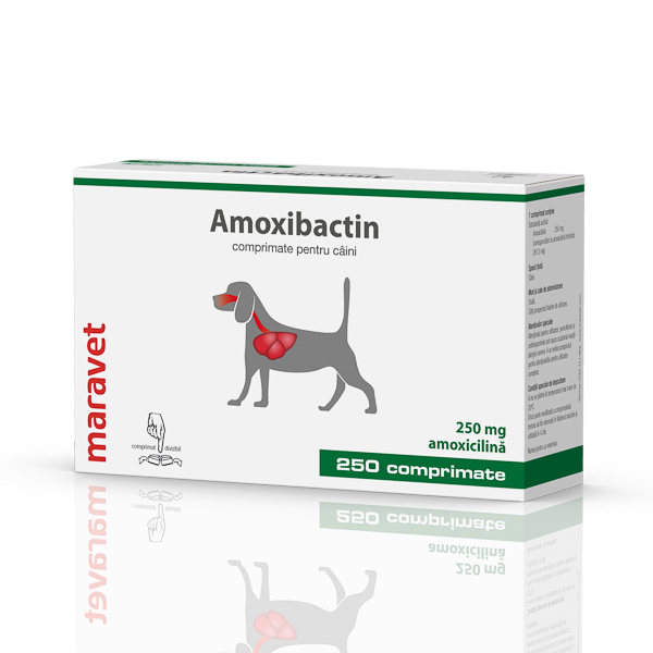 Amoxibactin 250 mg 25x10 tbl