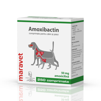 Amoxibactin 50 mg 25x10 tbl