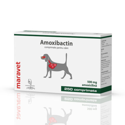 Amoxibactin 500 mg 25x10 tbl