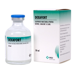 Dexafort 50 ml