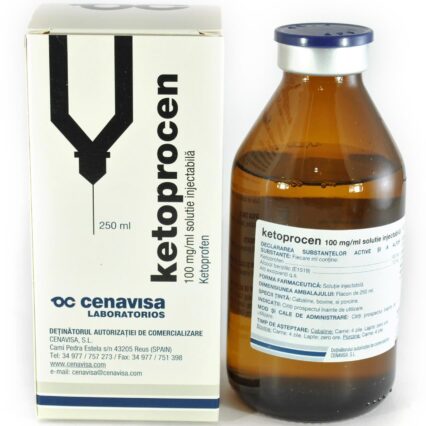 KETOPROCEN 100 MG/ML 100 ML