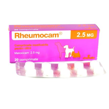 RHEUMOCAM 2,5 MG *20 TB