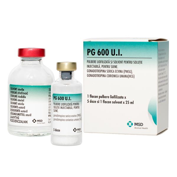 PG 600 x 5dz