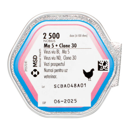 Nobilis MA5   Cl30 x 2500 dz