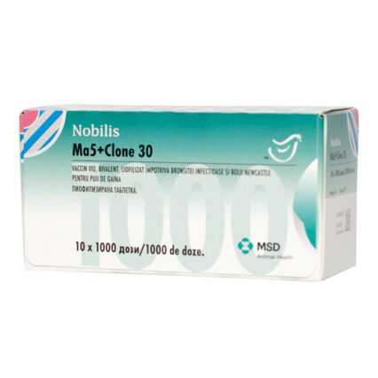 Nobilis MA5   CL30 x 1000 dz