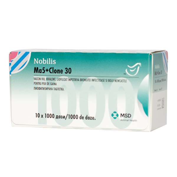 Nobilis MA5 CL30 x 1000 dz