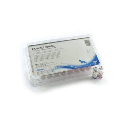 CANVAC JUNIOR 1 DZ(30FL/CUT)
