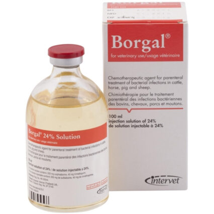 BORGAL 100 ML