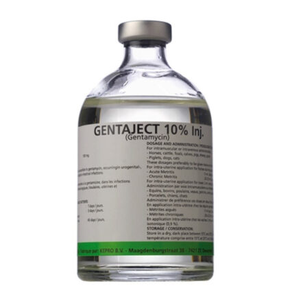 GENTA JECT 10% 100 ML