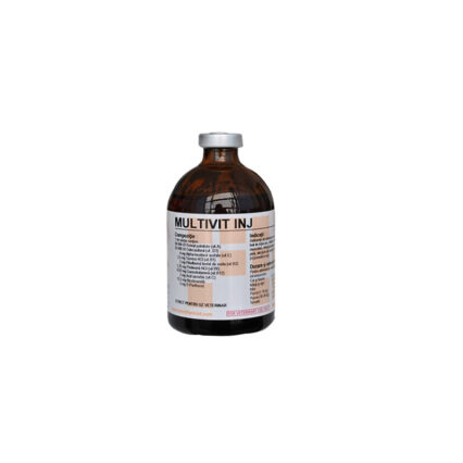 MULTIVIT INJECTABIL 100ML