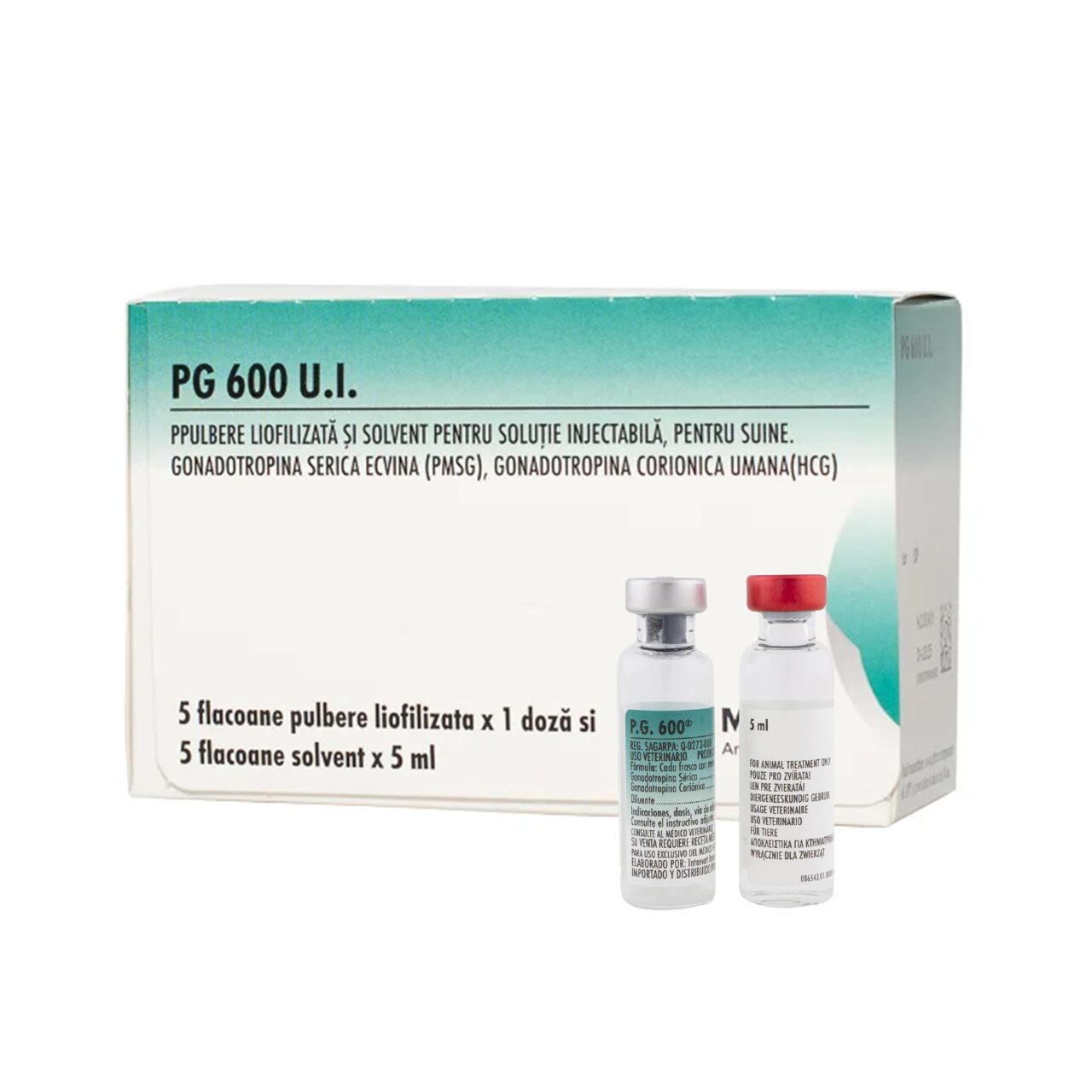 PG 600 5x1DZ + DILUANT 5x5ML