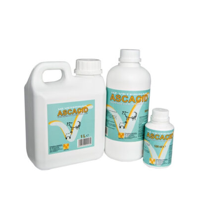 ASCACID 10% 1L
