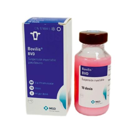 BOVILIS BVD 20ML 10DZ
