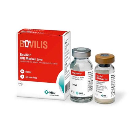 BOVILIS IBR MARKER LIVE 20ML/10DZ