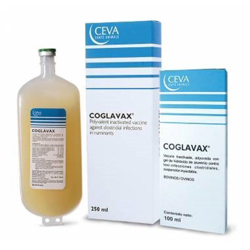 COGLAVAX 250 ML